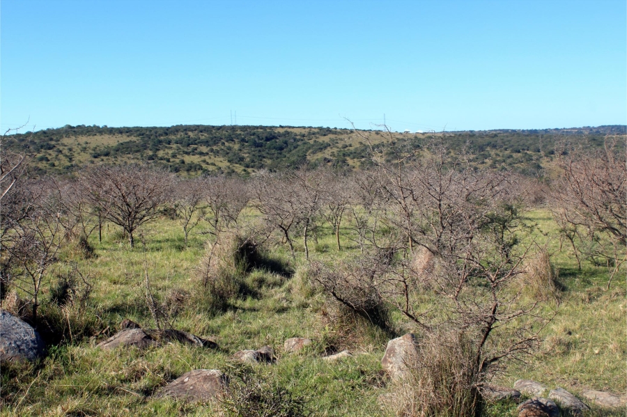 5 Bedroom Property for Sale in Mooiplaas Eastern Cape